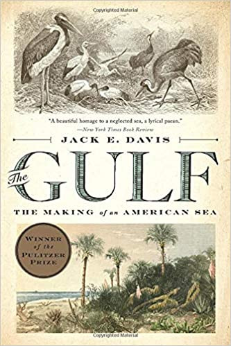 The Gulf The Making of An American Sea The Gulf The Making of An American Sea