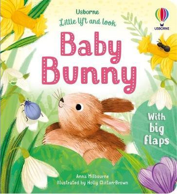 Little Lift and Look Baby Bunny Little Lift and Look Baby Bunny