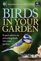 Birds in Your Garden
