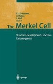 Merkel Cell