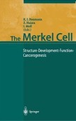 Merkel Cell Merkel Cell