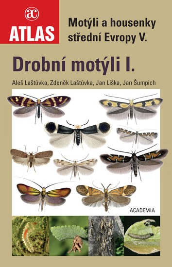 Drobní motýli I.