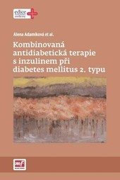 Kombinovaná antidiabetická terapie