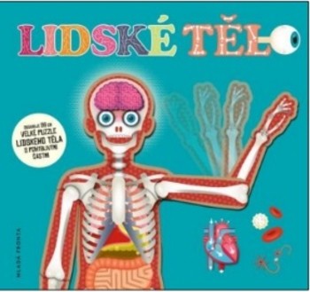 Lidské tělo Lidské tělo