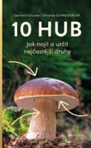 10 hub - Jak najít a určit nejčastější druhy