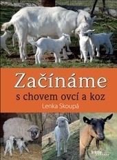 Začínáme s chovem ovcí a koz