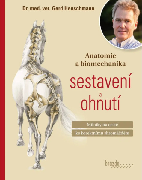 Anatomie a biomechanika sestavení a ohnutí