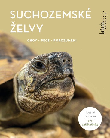 Suchozemské želvy Suchozemské želvy