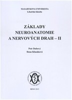 Základy neuroanatomie a nervových drah II Základy neuroanatomie a nervových drah II
