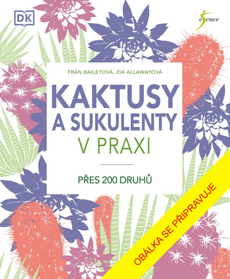 Kaktusy a sukulenty v praxi