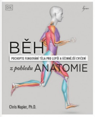 Běh z pohledu anatomie