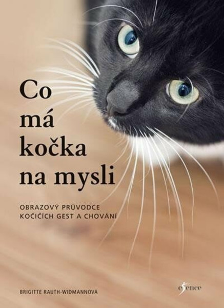 Co má kočka na mysli Co má kočka na mysli
