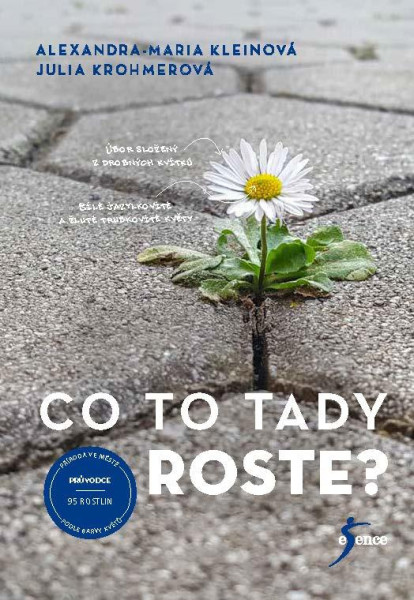 Co to tady roste? Co to tady roste?