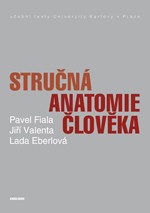 Stručná anatomie člověka Stručná anatomie člověka