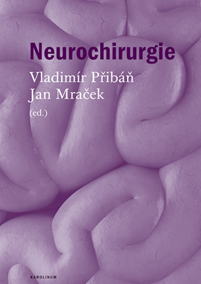 Neurochirurgie Neurochirurgie