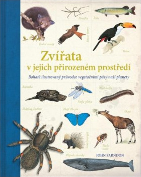 Zvířata v jejich přirozeném prostředí Zvířata v jejich přirozeném prostředí