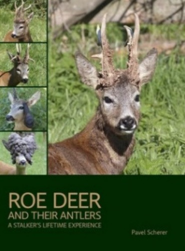 Roe Deer and their Antlers