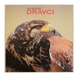 Dravci