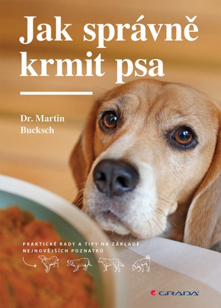 Jak správně krmit psa Jak správně krmit psa