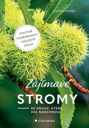 Zajímavé stromy Zajímavé stromy