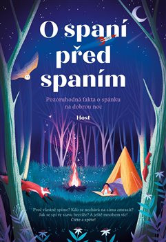 O spaní před spaním