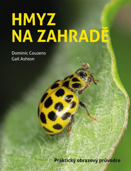 Hmyz na zahradě Hmyz na zahradě