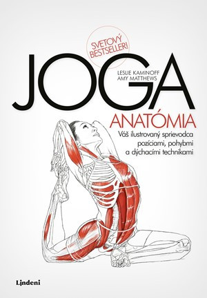 JOGA - anatómia