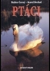 Ptáci Ptáci