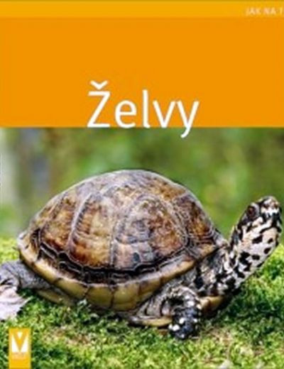 Želvy - Jak na to