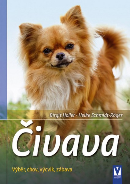Čivava Čivava