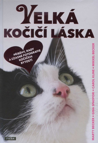 Velká kočičí láska Velká kočičí láska