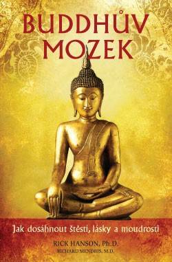 Buddhův mozek