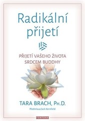 Radikální přijetí
