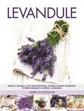 Levandule Levandule