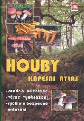 Houby Houby
