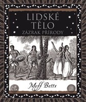 Lidské tělo Lidské tělo