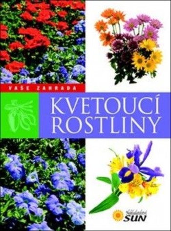 Kvetoucí rostliny Kvetoucí rostliny
