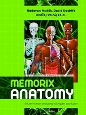 Memorix Anatomy Memorix Anatomy