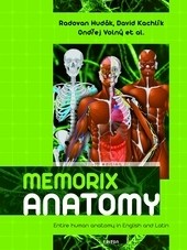 Memorix Anatomy