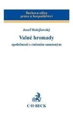 Valné hromady společností s ručením omezeným Valné hromady společností s ručením omezeným