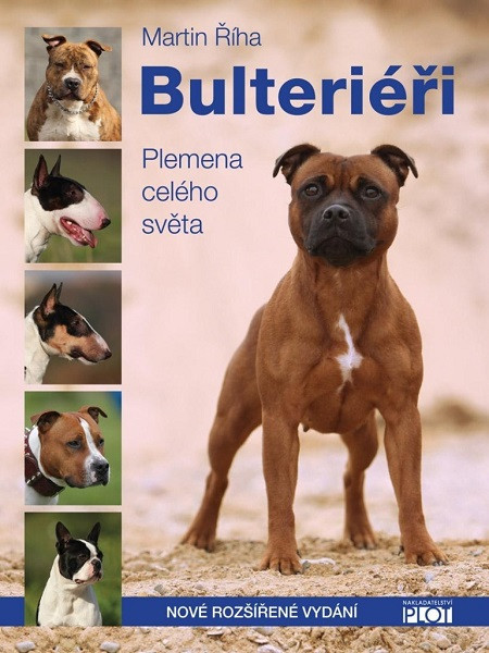 Bulteriéři Bulteriéři