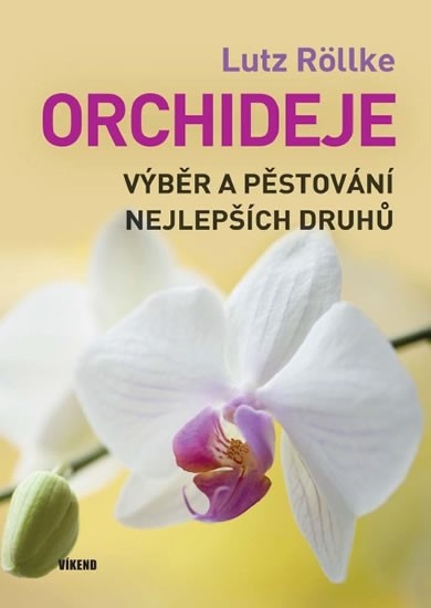 Orchideje Orchideje
