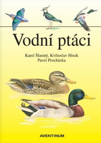 Vodní ptáci