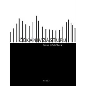 Čekání v zástupu Čekání v zástupu