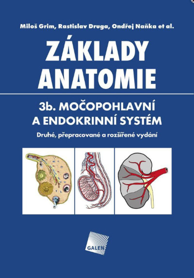 Základy anatomie. 3b. Močopohlavní a endokrinní systém - Druhé, přepracované a rozšířené vydání