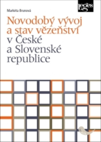 Novodobý vývoj a stav vězeňství v České a Slovenské republice