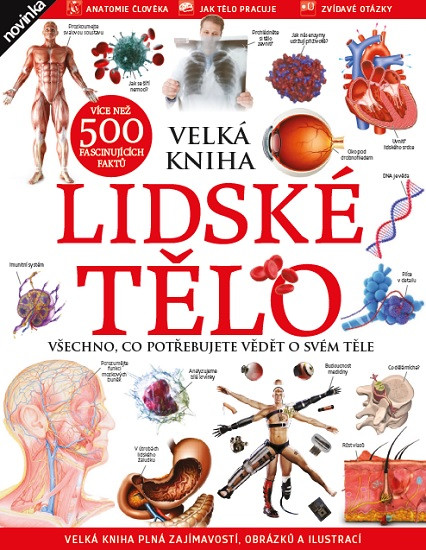 Lidské tělo - Všechno, co potřebujete vědět o svém těle