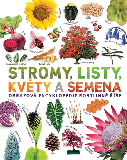 Stromy, listy, květy a semena - Obrazová Stromy, listy, květy a semena - Obrazová
