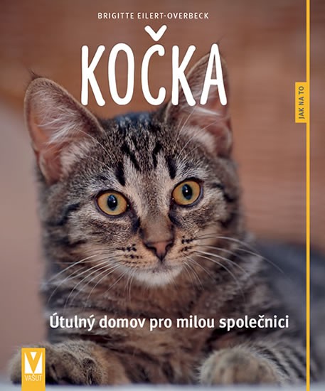 Kočka - Útulný domov pro milou společnici Kočka - Útulný domov pro milou společnici