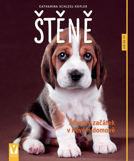 Štěně - Šťastný začátek v novém domově Štěně - Šťastný začátek v novém domově